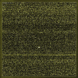 Scanned zebrafish microarray image  